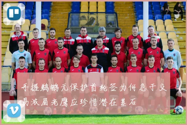 手握鹈鹕无保护首轮签为何急于交易浓眉老鹰应珍惜潜在基石