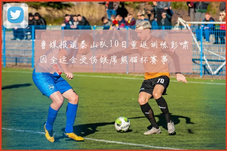 鲁媒报道泰山队10日重返训练彭啸因全运会受伤缺席熊猫杯赛事
