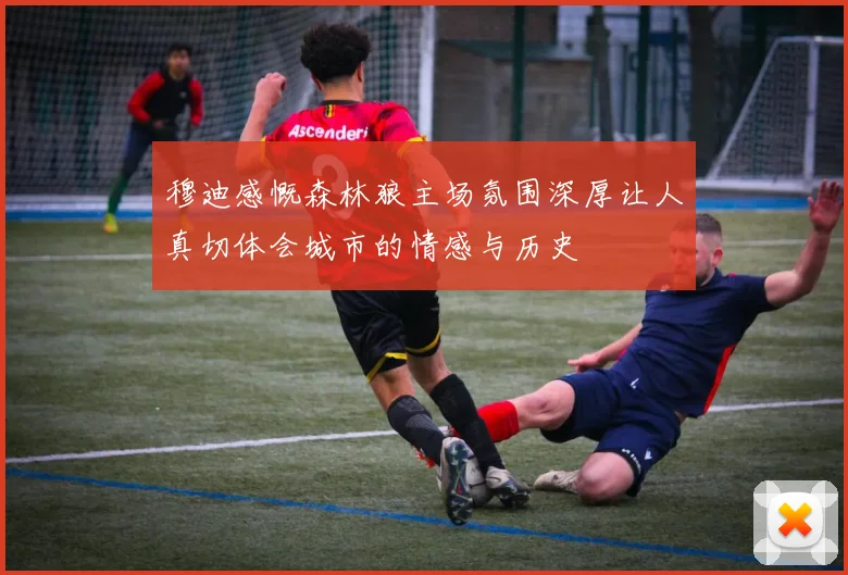 穆迪感慨森林狼主场氛围深厚让人真切体会城市的情感与历史